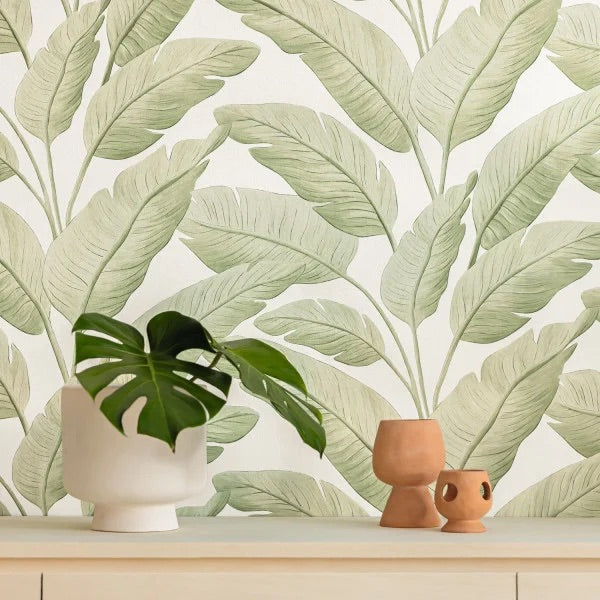 New Arrivals – Wallpaper Lane