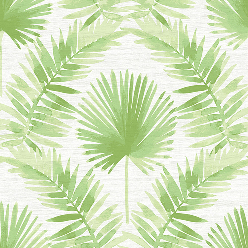 Calla Palm Wallpaper