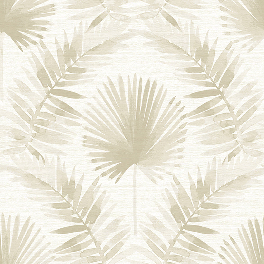 Calla Palm Wallpaper