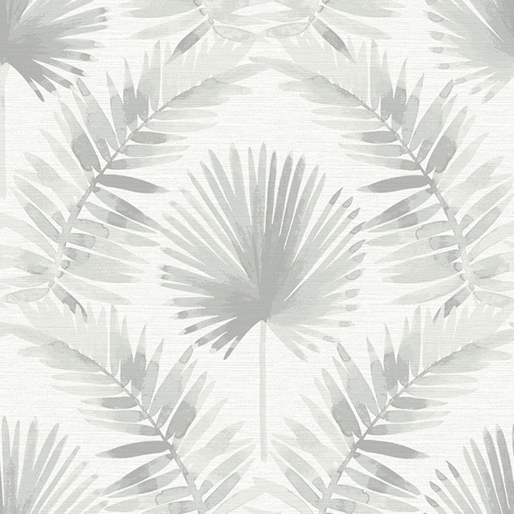 Calla Palm Wallpaper