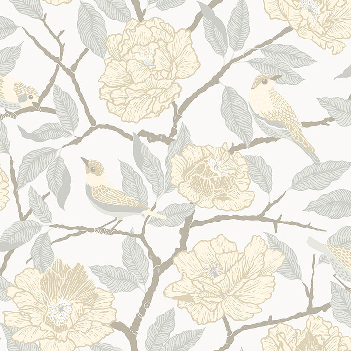 Bernadina Rosebush Wallpaper