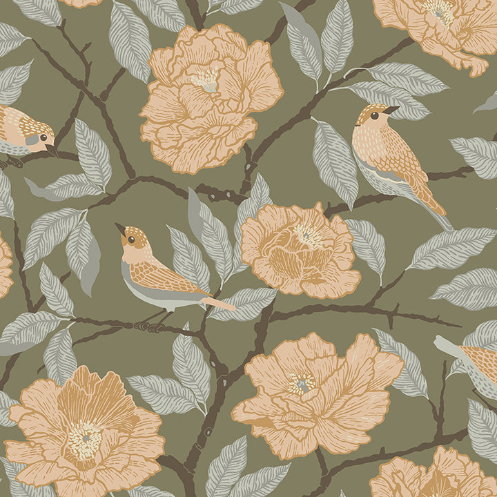 Bernadina Rosebush Wallpaper