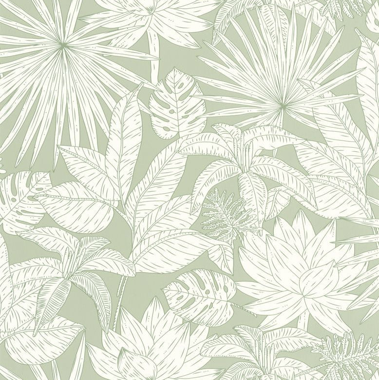 Hawai Wallpaper