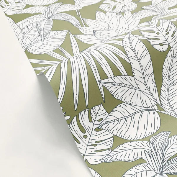 Hawai Wallpaper