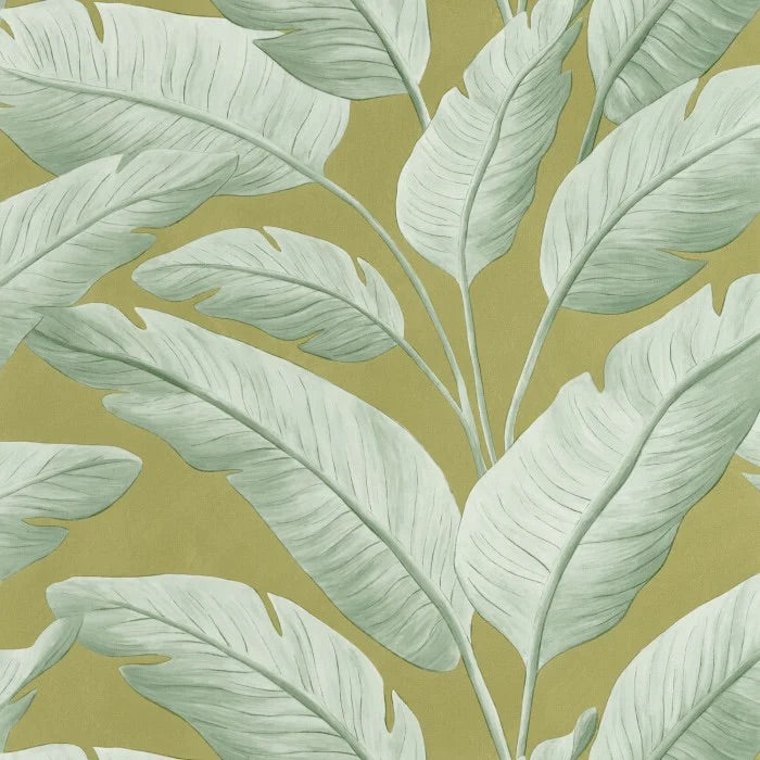 Tropicalia Wallpaper