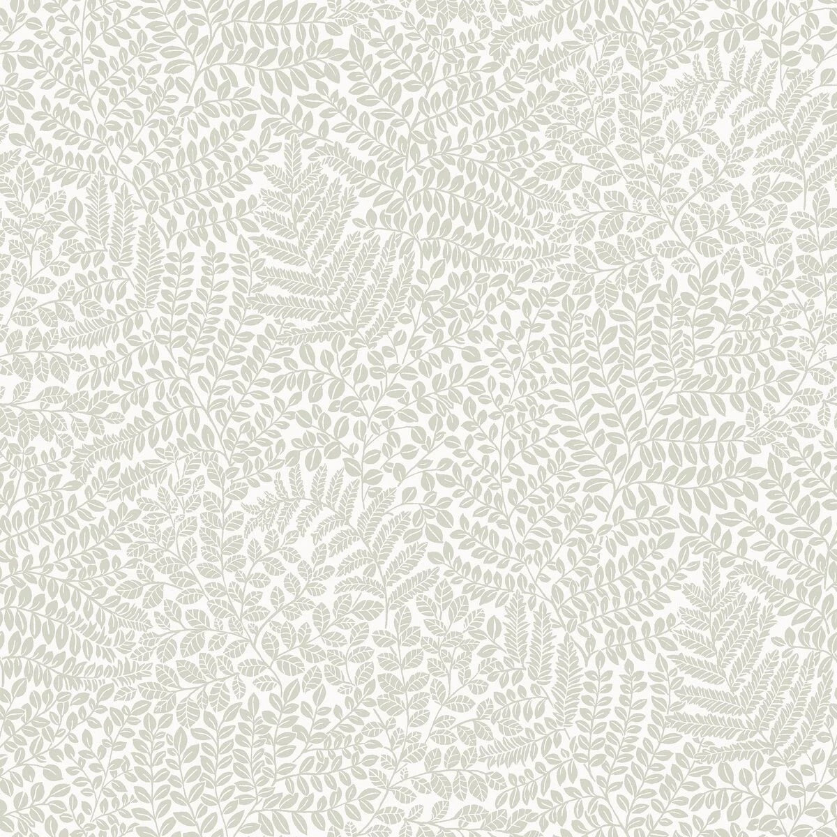 Bladverk Fern Wallpaper