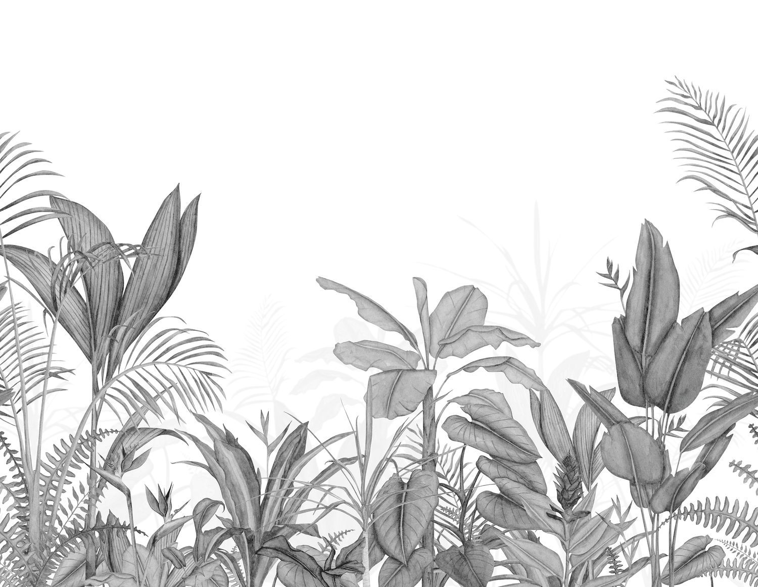 Eden Tropical Mural