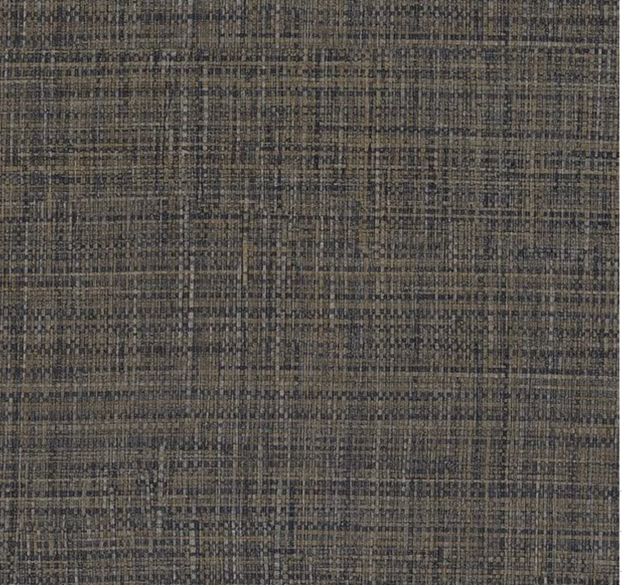 Sierra Raffia Wallpaper