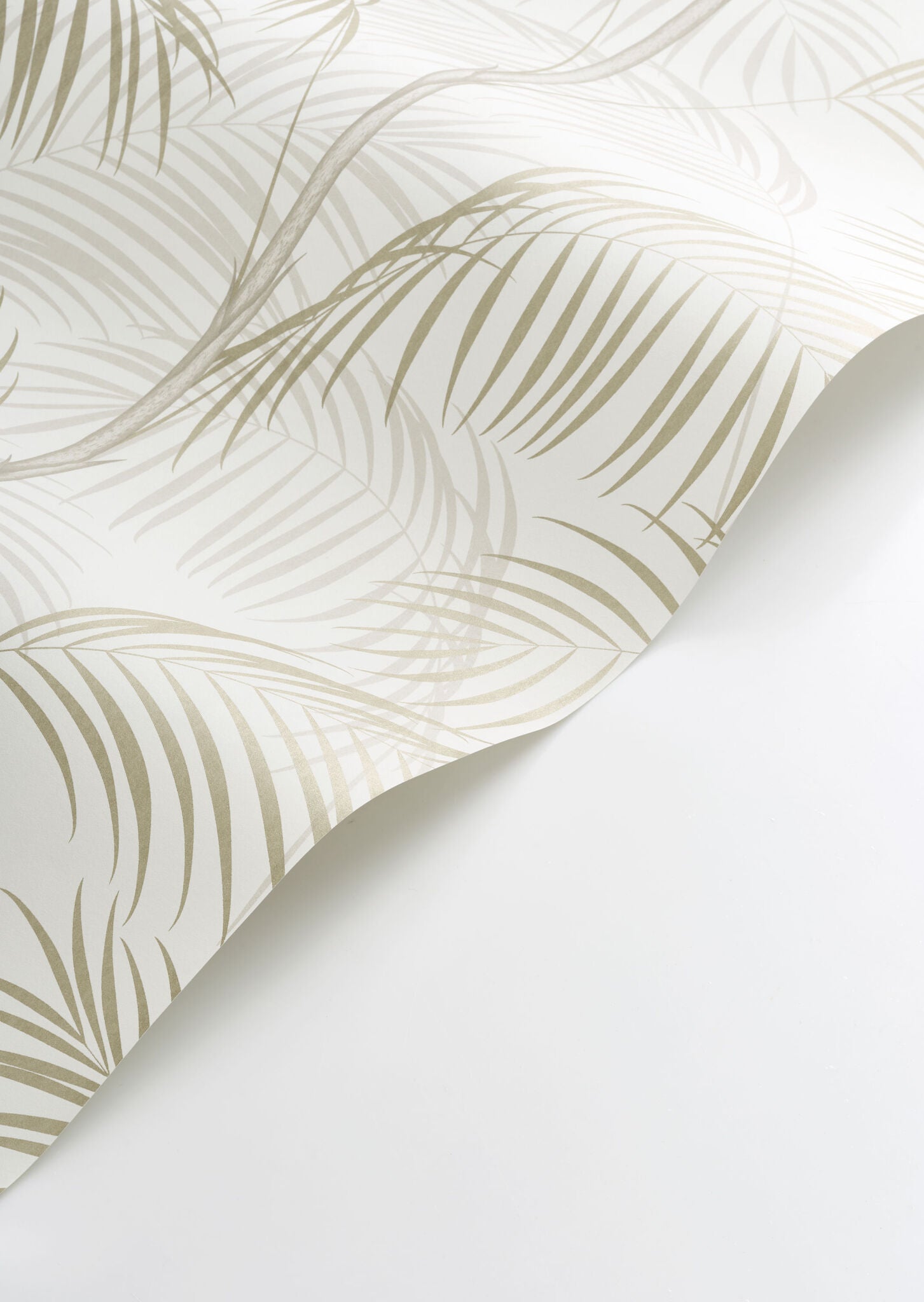 All of Paris Palm Wallpaper