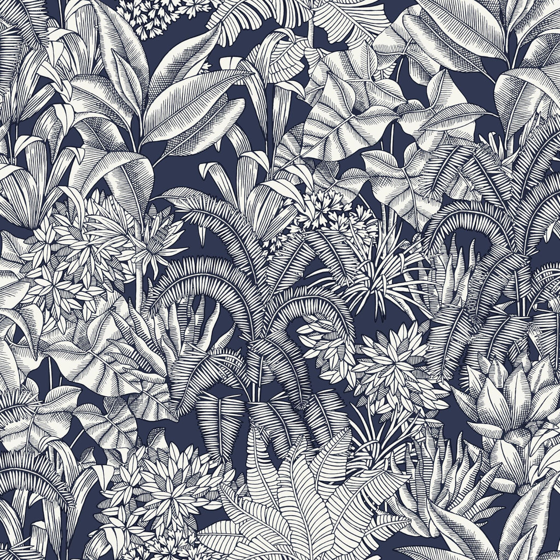 Palmaris Wallpaper