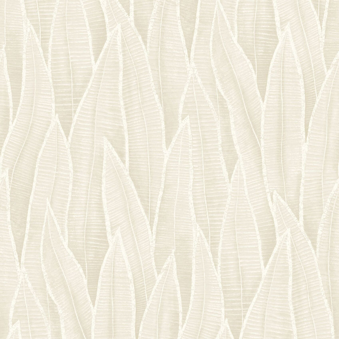 Succulent Leaves Wallpaper