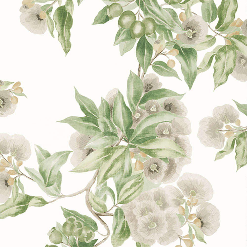 Camellia Garden - Devon- Wallpaper