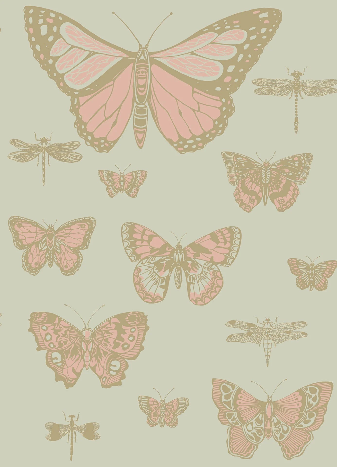 Butterflies & Dragonflies Wallpaper