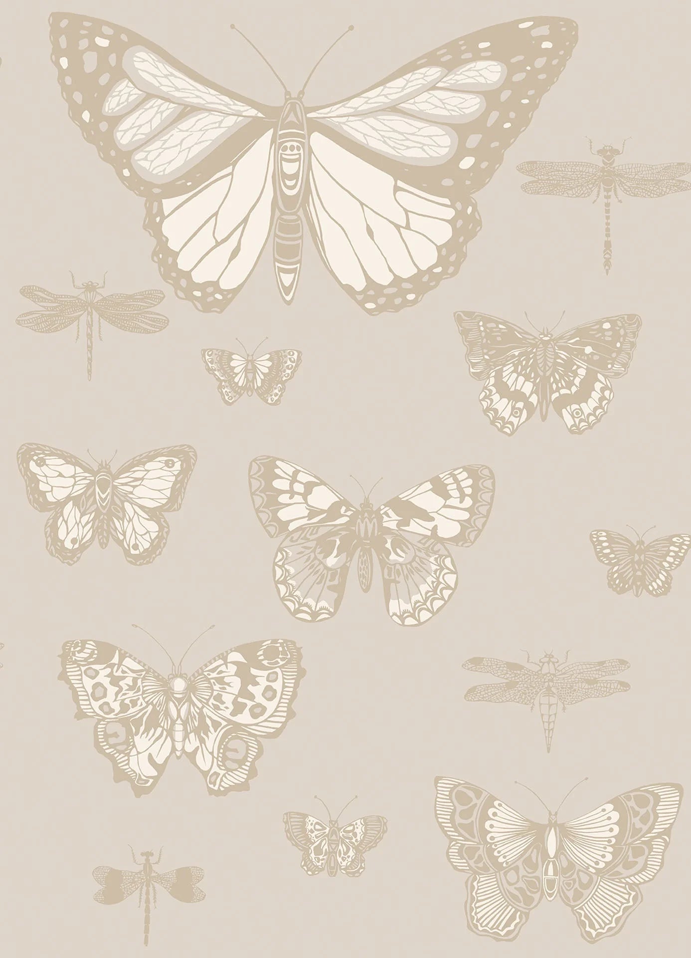 Butterflies & Dragonflies Wallpaper