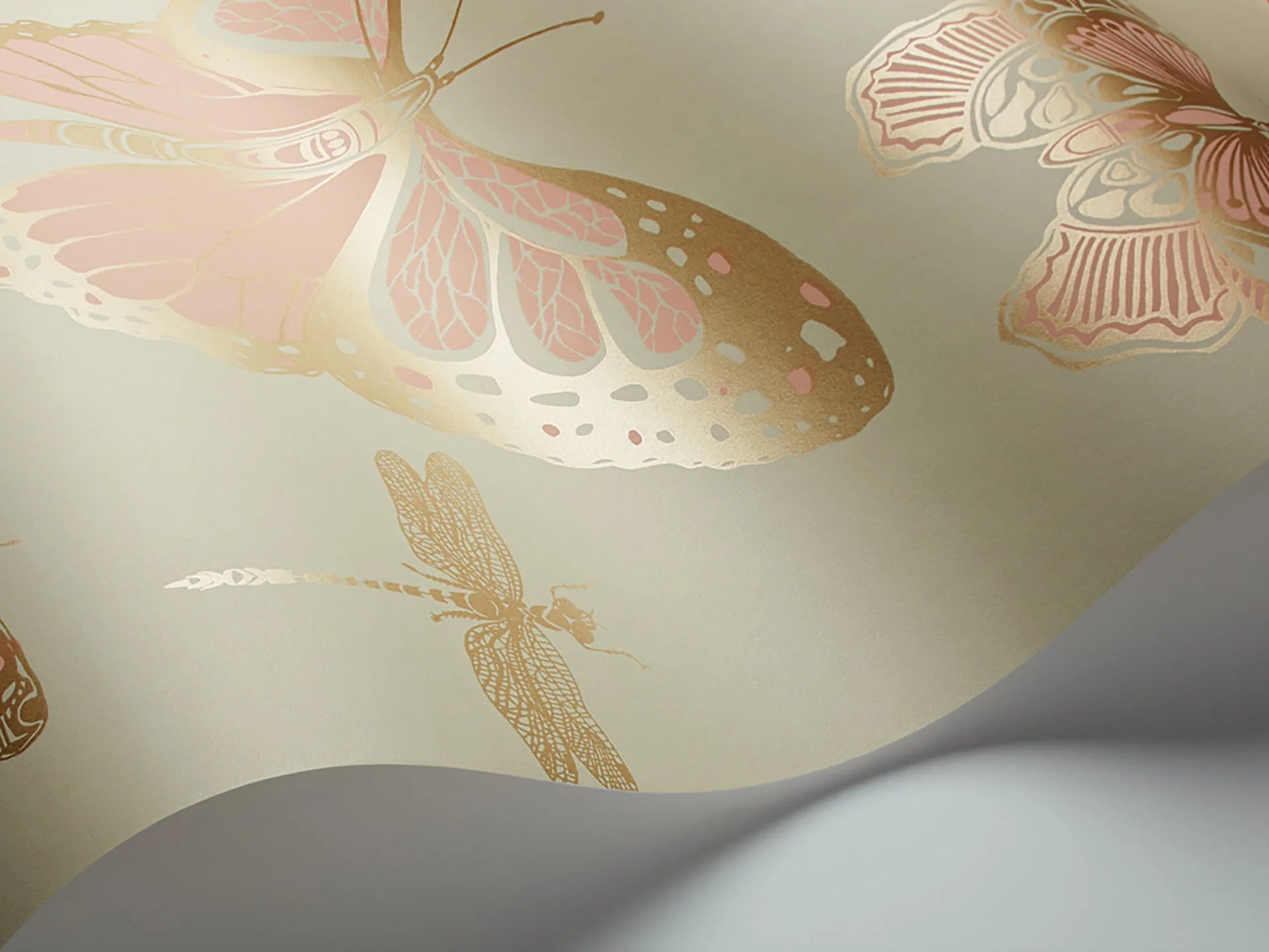 Butterflies & Dragonflies Wallpaper