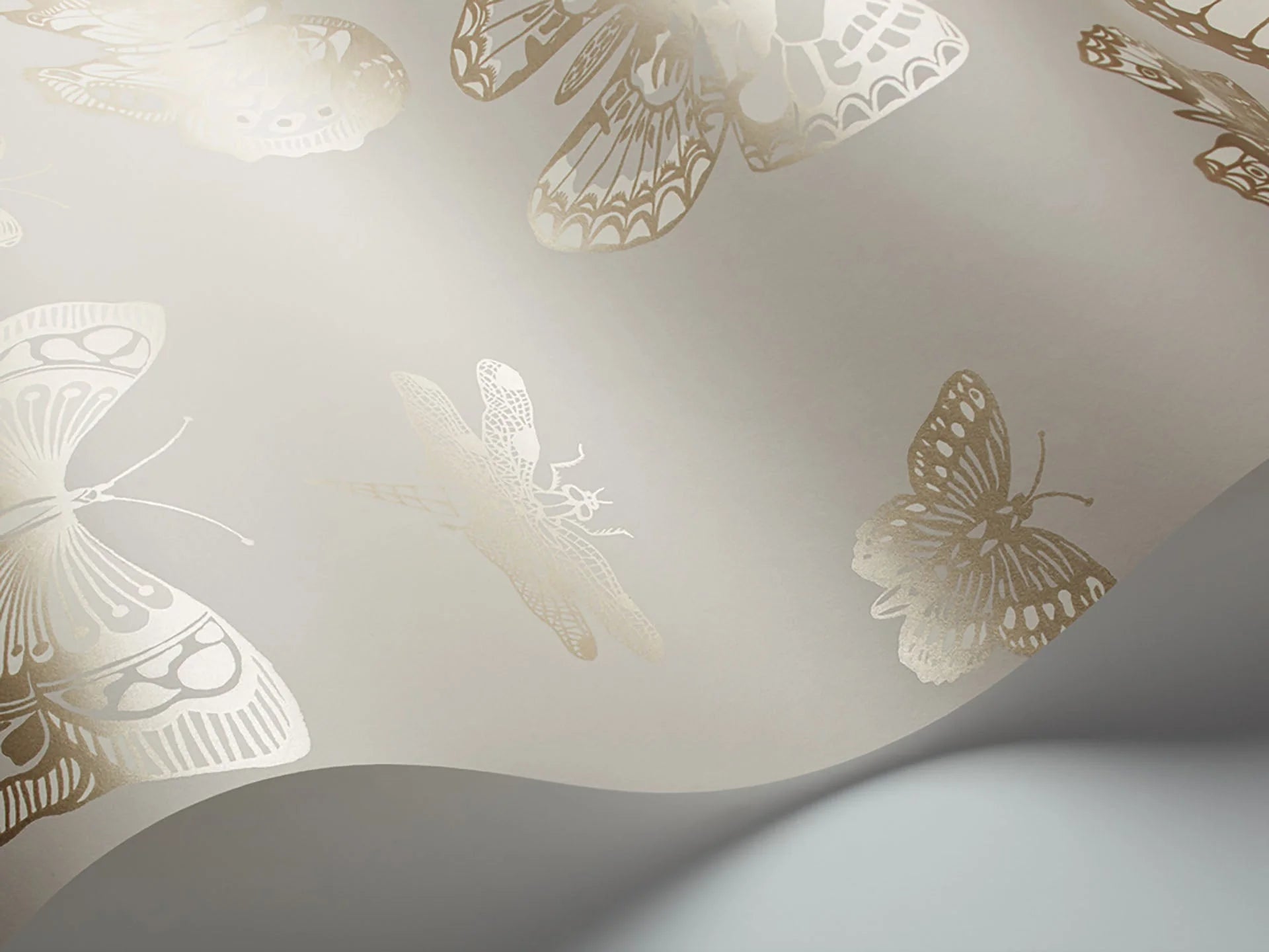 Butterflies & Dragonflies Wallpaper