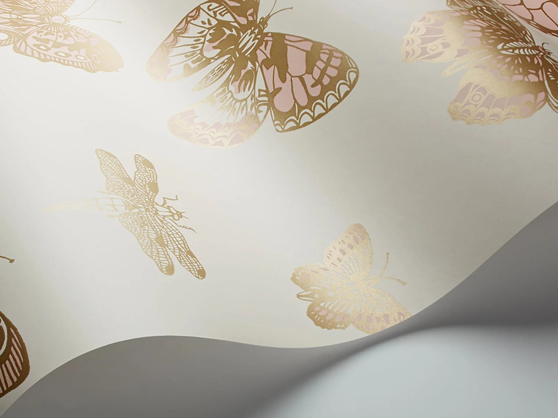 Butterflies & Dragonflies Wallpaper