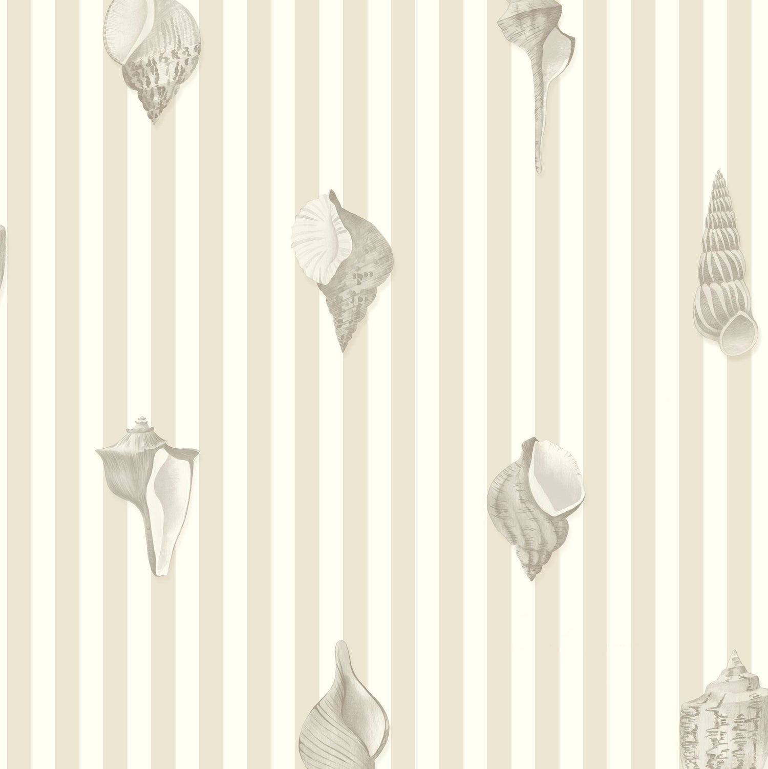 Noirmoutier Shell Wallpaper