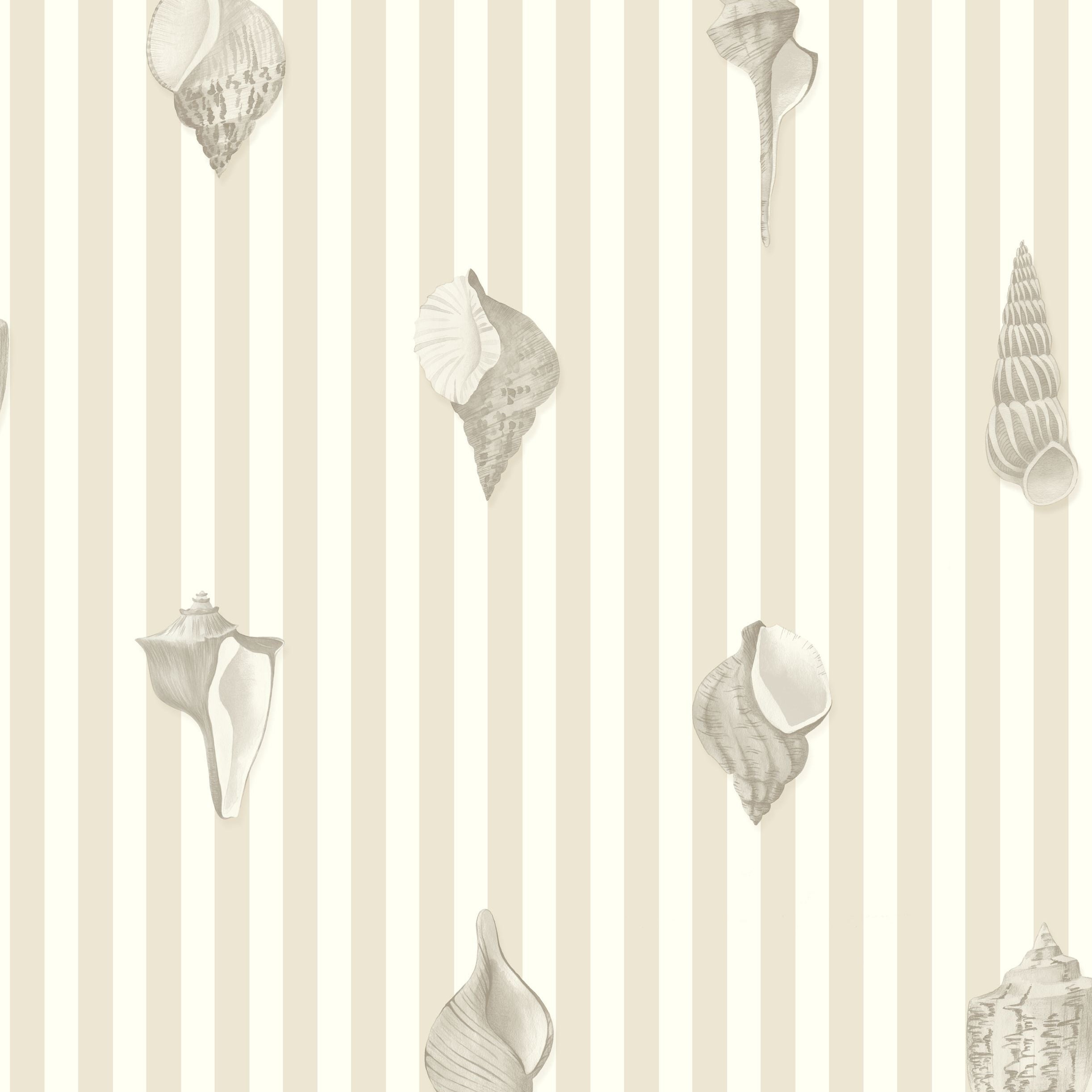 Noirmoutier Shell Wallpaper