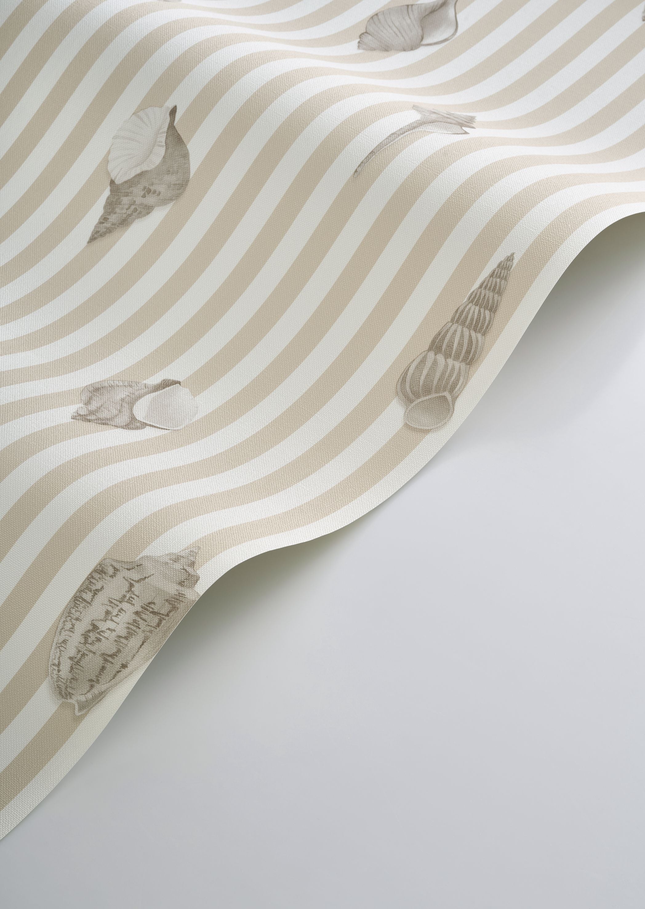 Noirmoutier Shell Wallpaper