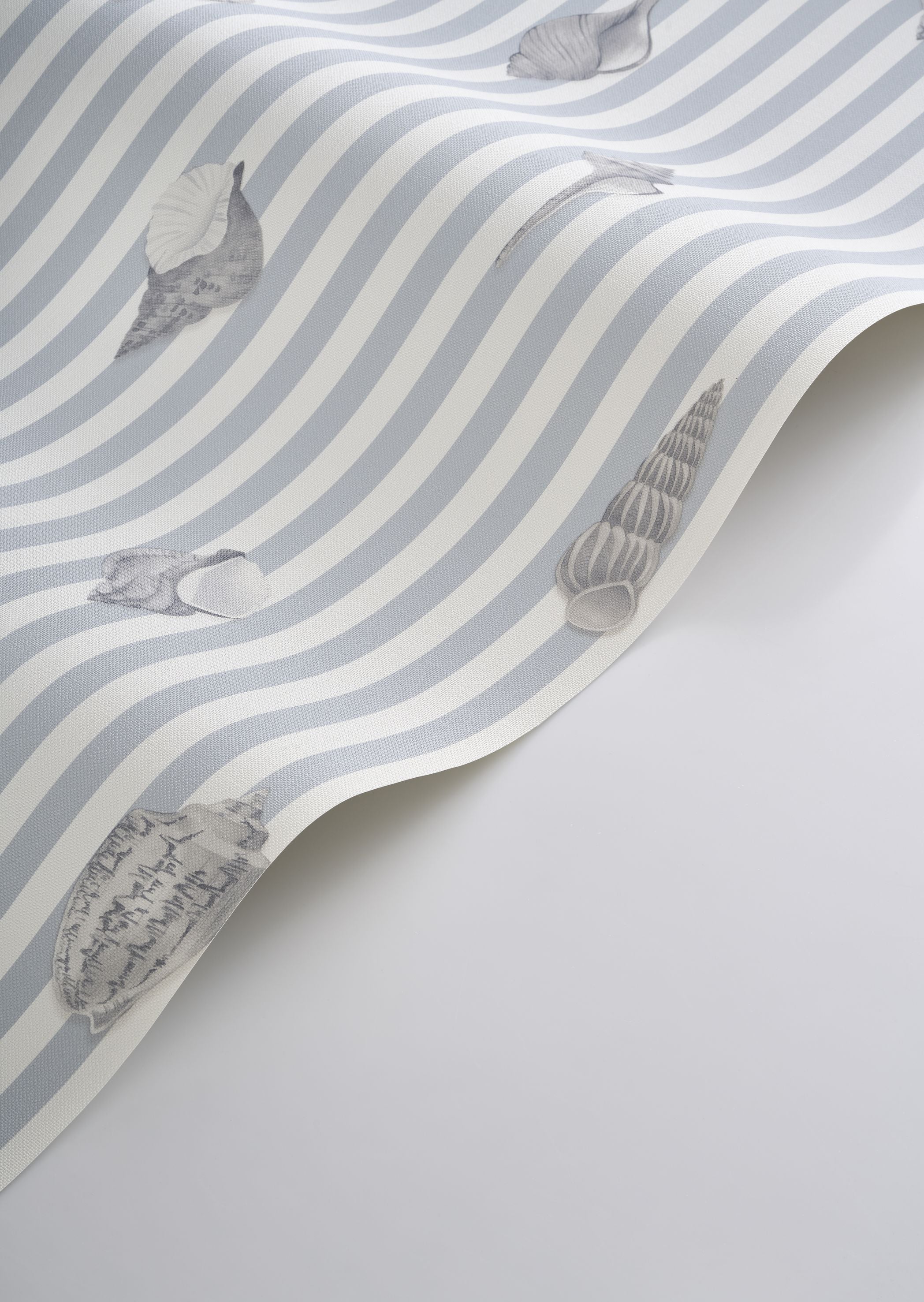 Noirmoutier Shell Wallpaper