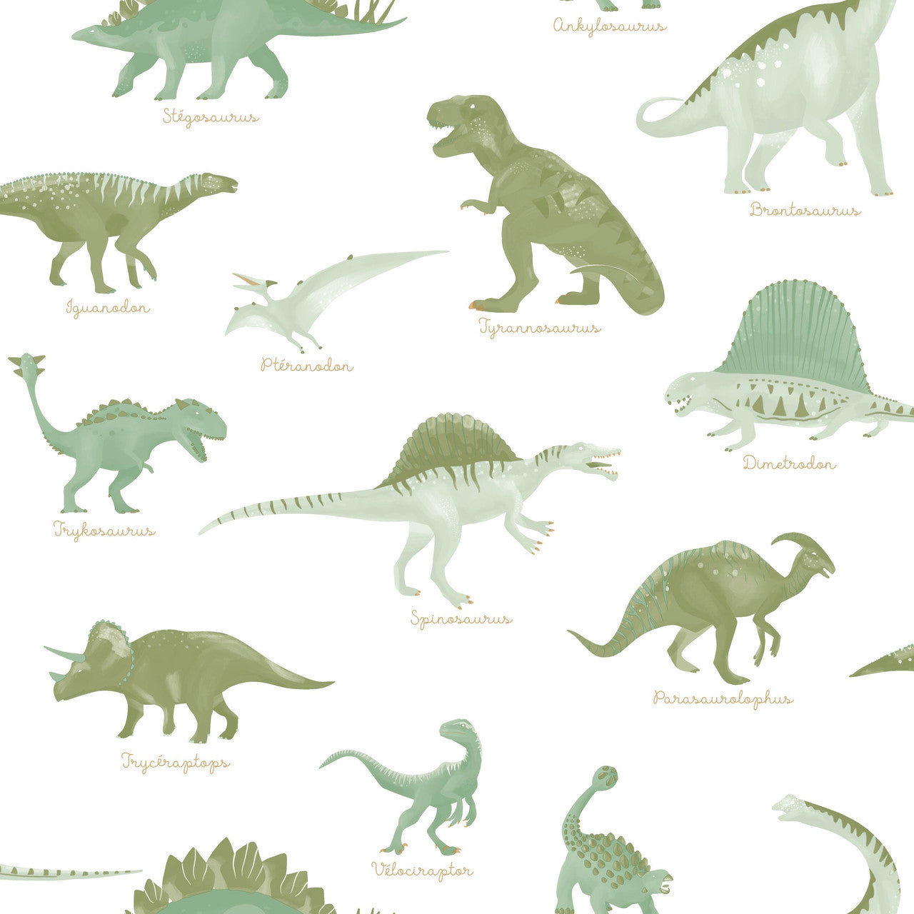 Jurassique Dinosaur Wallpaper