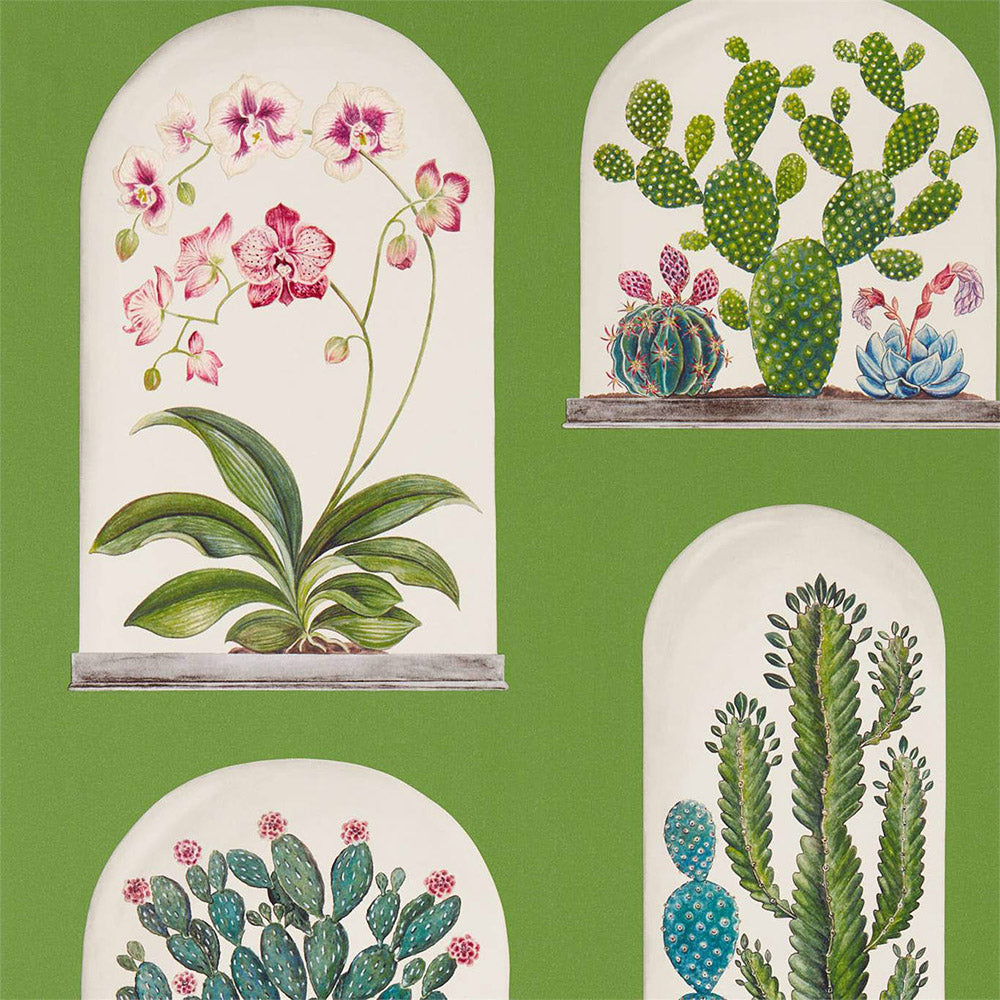 Terrariums Wallpaper