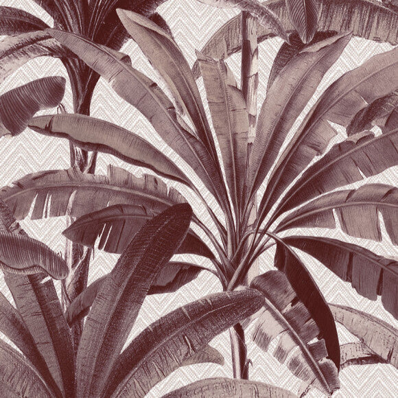 Palmera Wallpaper