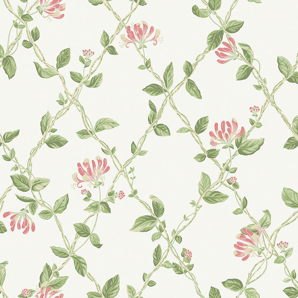 Honeysuckle Wallpaper