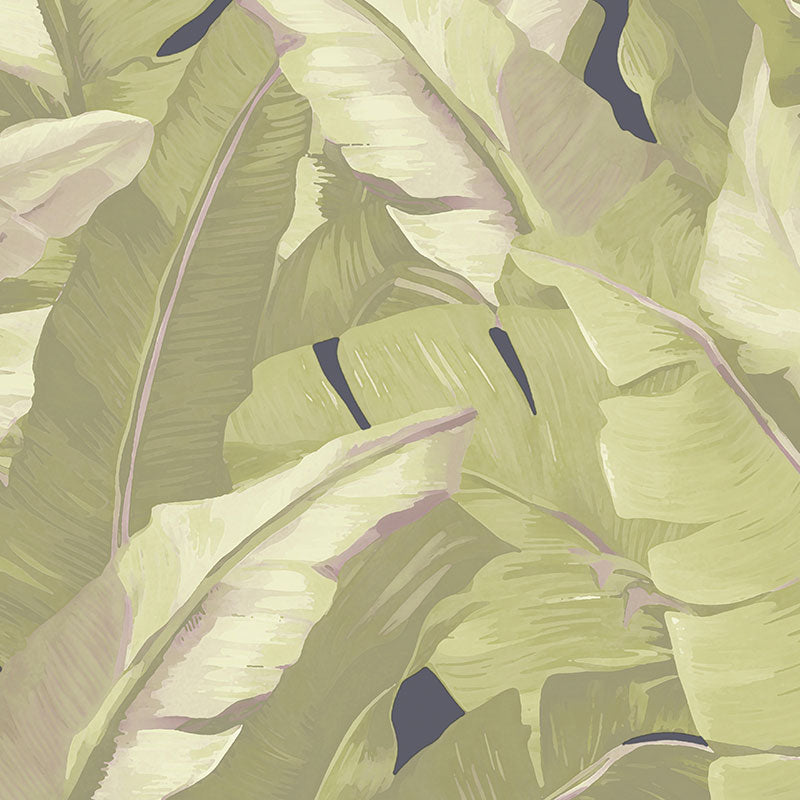 Encanto Leaves Wallpaper