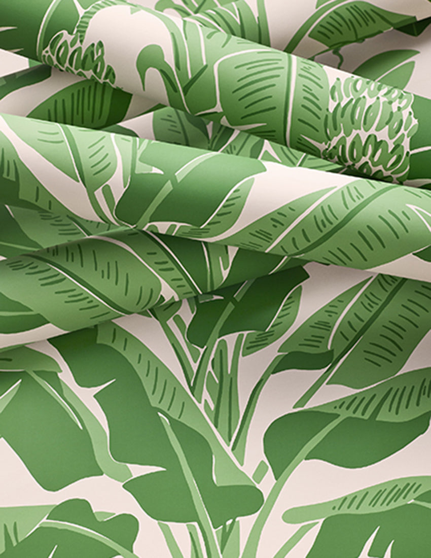 Banana Tree - Palm Grove - Wallpaper