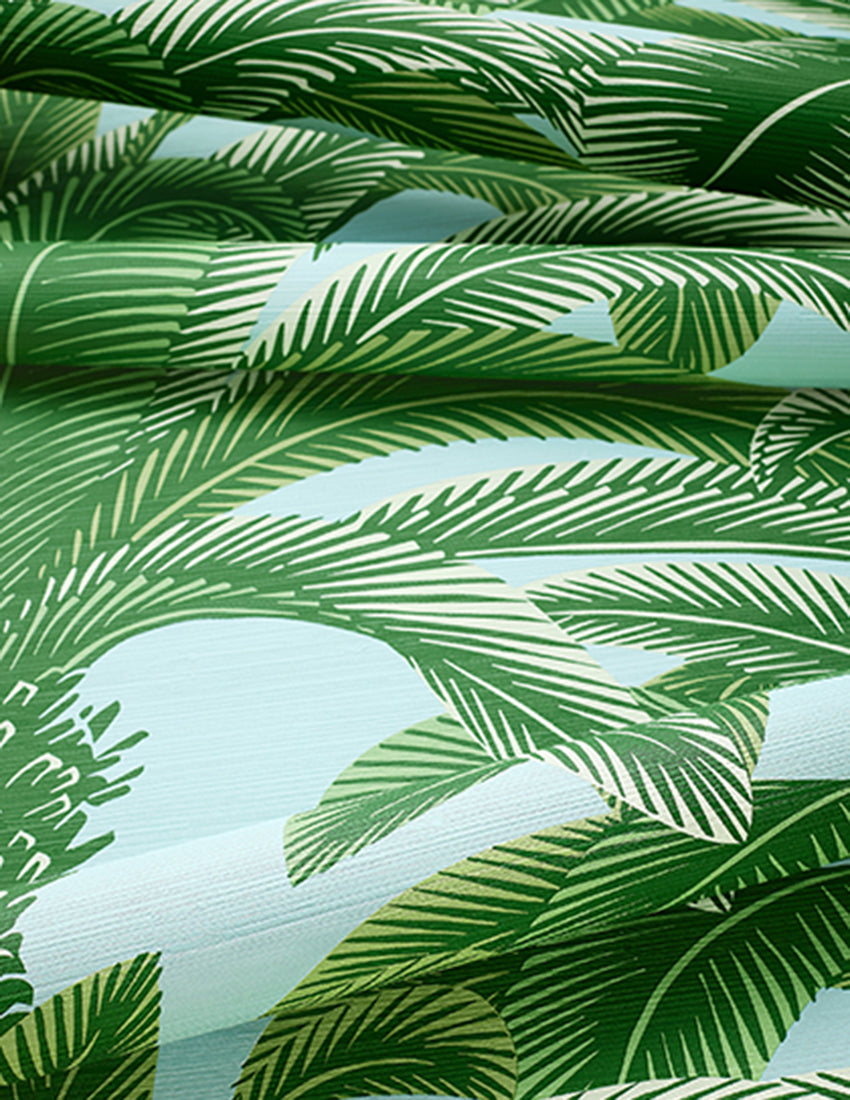 Queen Palm - Palm Grove - Wallpaper