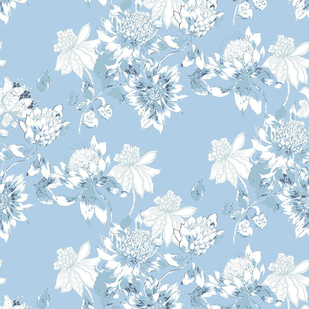 Protea Wallpaper
