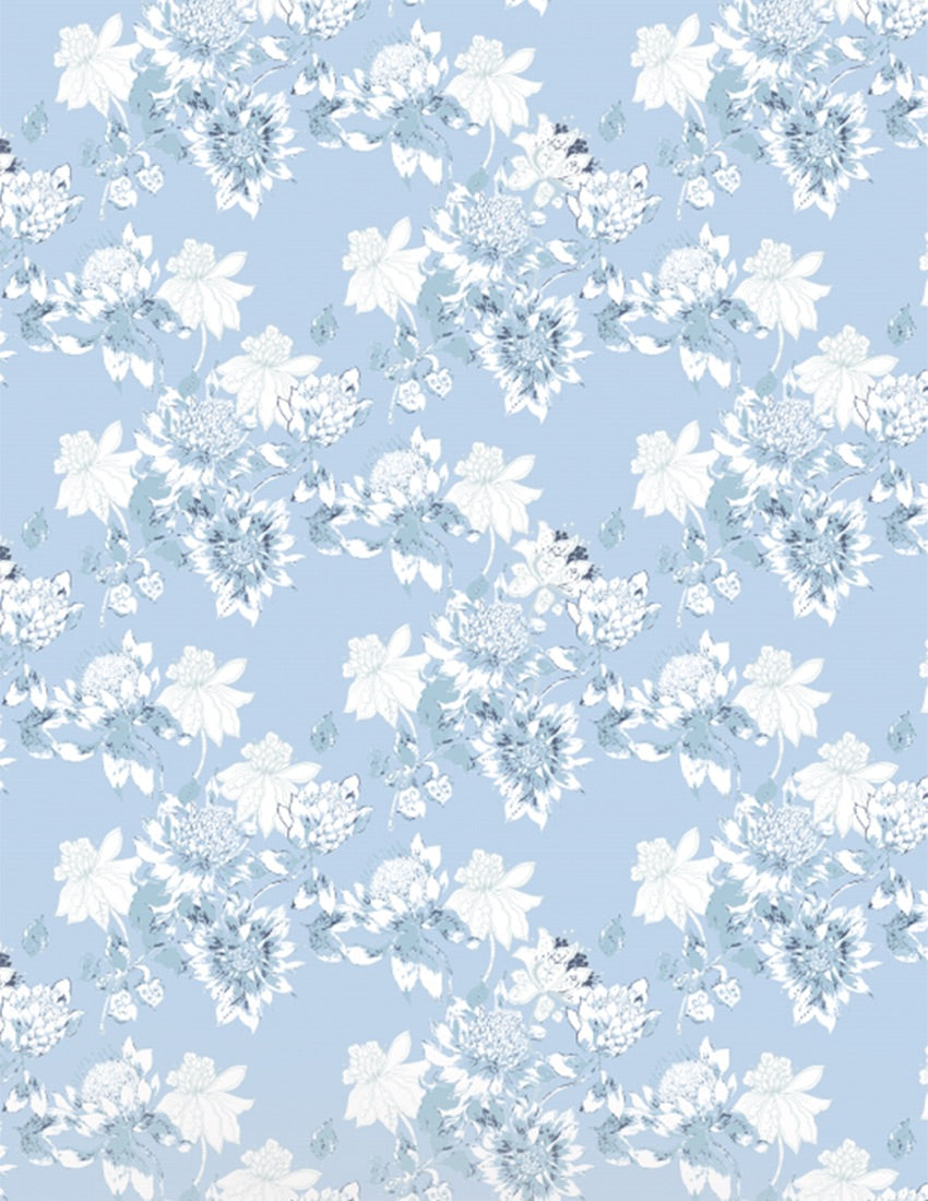 Protea Wallpaper