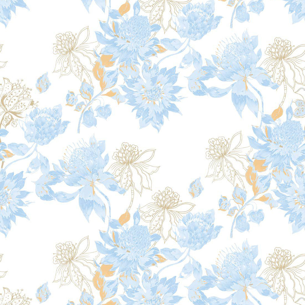 Protea Wallpaper