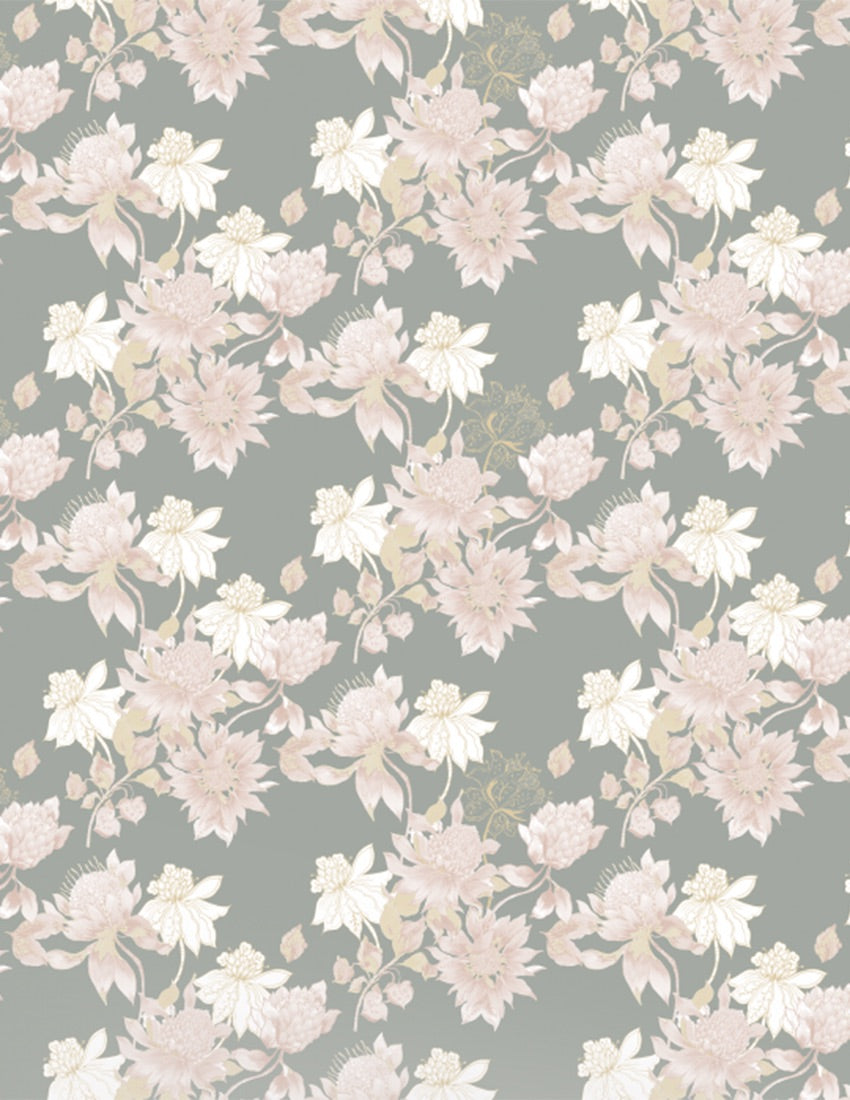 Protea Wallpaper