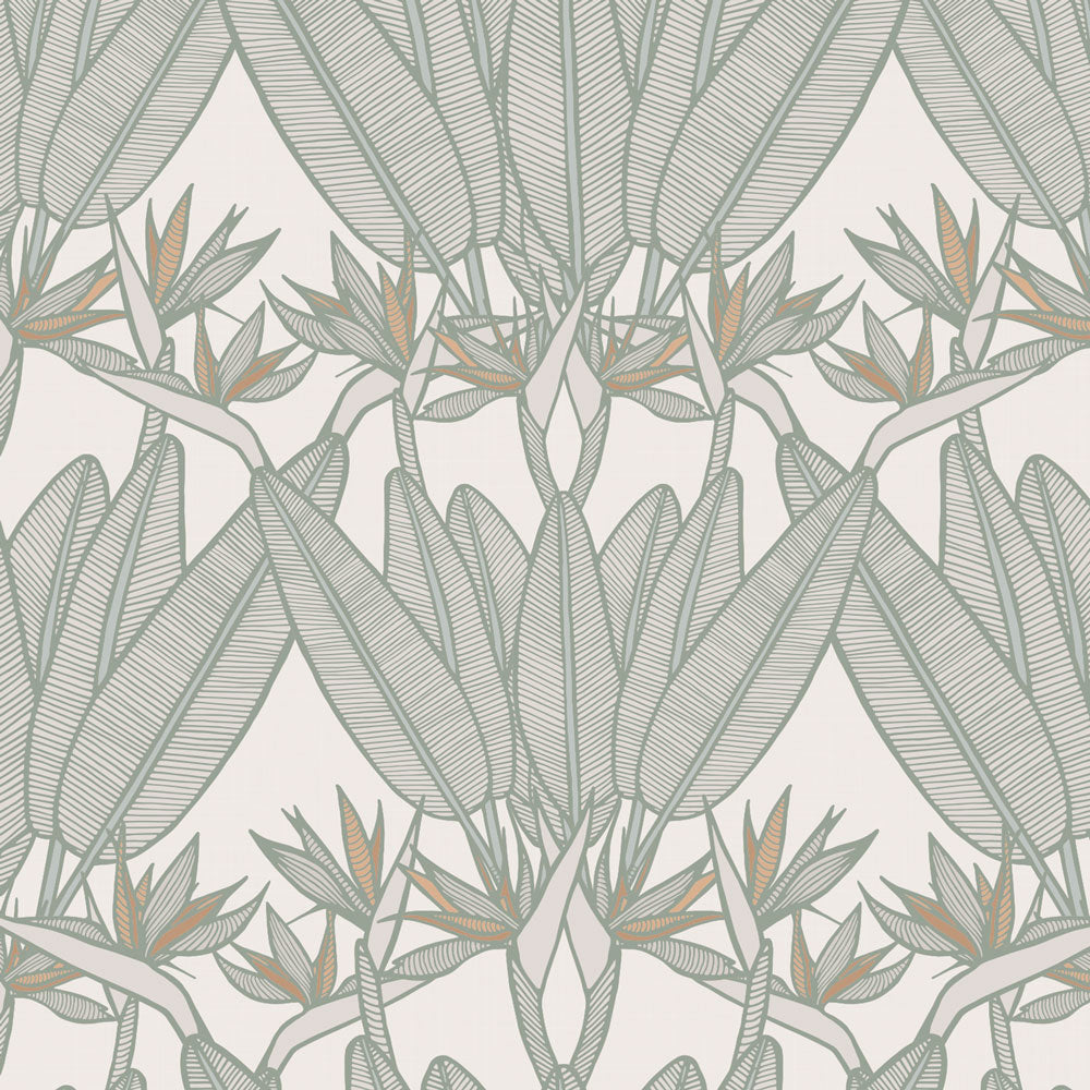 Strelitzia Tropical Wallpaper