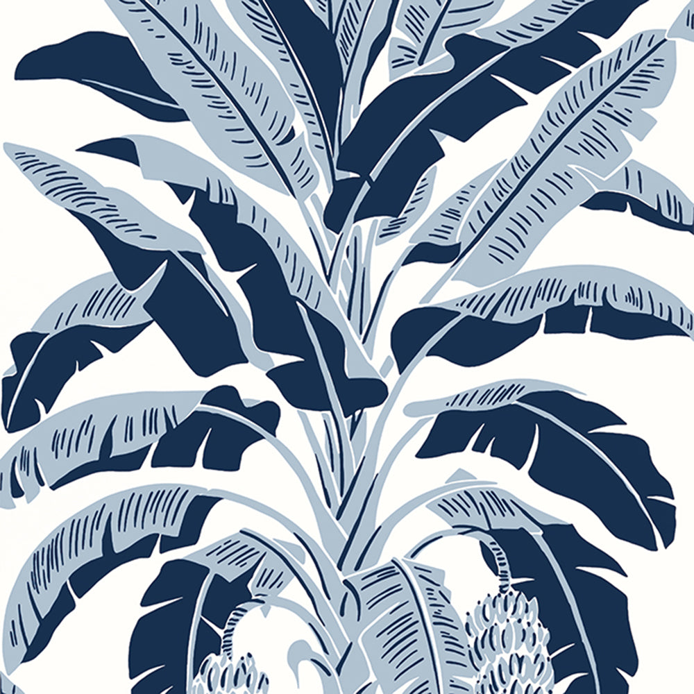 Banana Tree - Palm Grove - Wallpaper