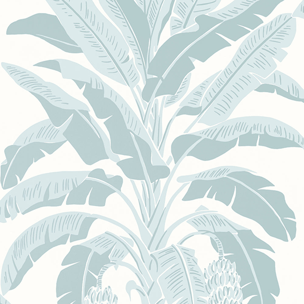 Banana Tree - Palm Grove - Wallpaper