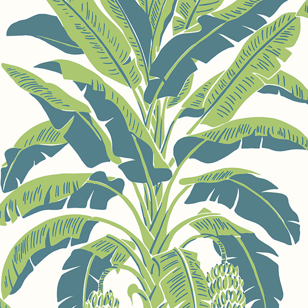 Banana Tree - Palm Grove - Wallpaper