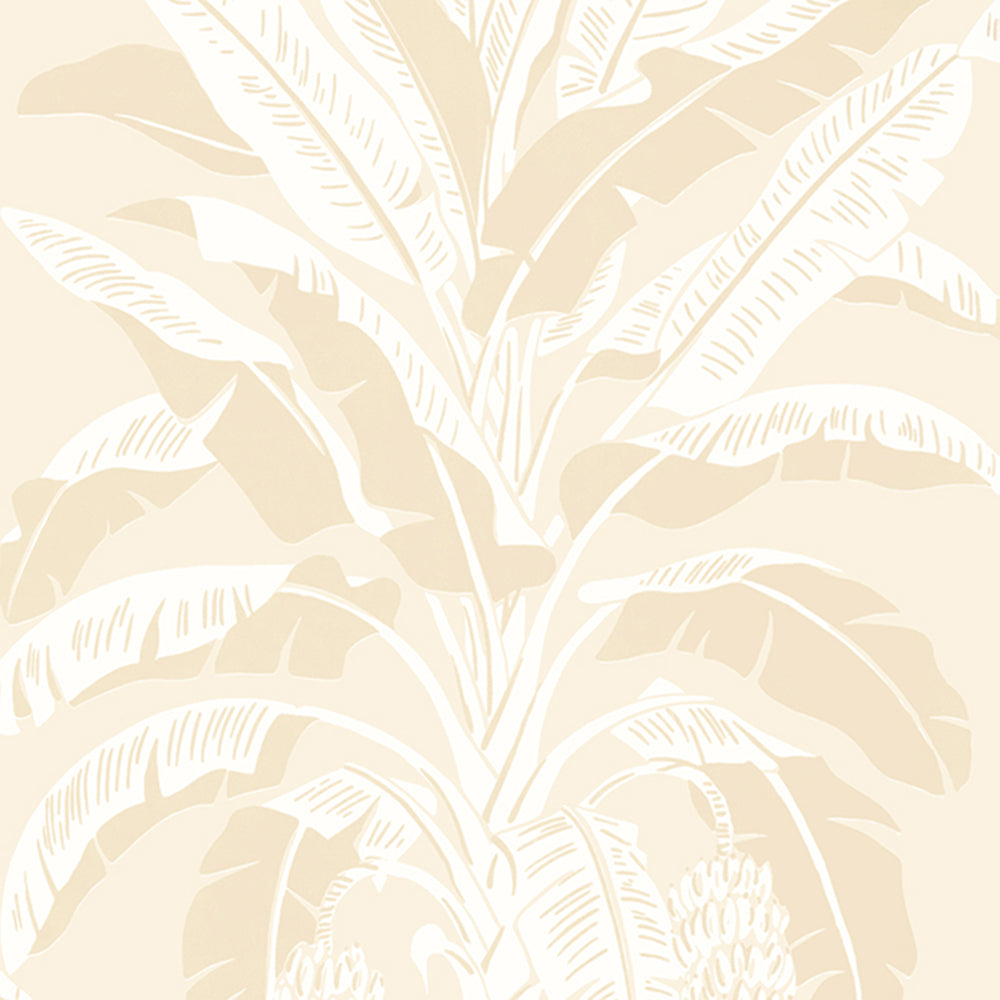 Banana Tree - Palm Grove - Wallpaper