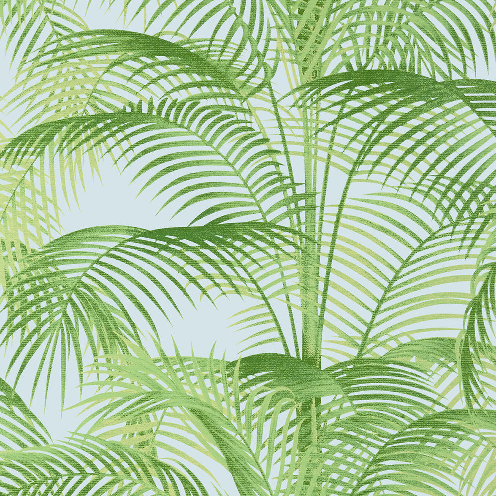 Delray - Palm Grove - Wallpaper