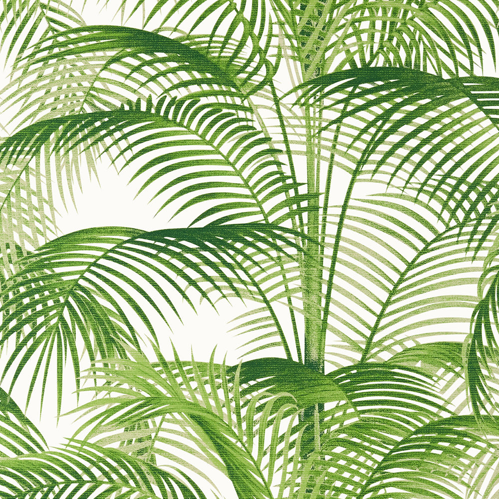 Delray - Palm Grove - Wallpaper