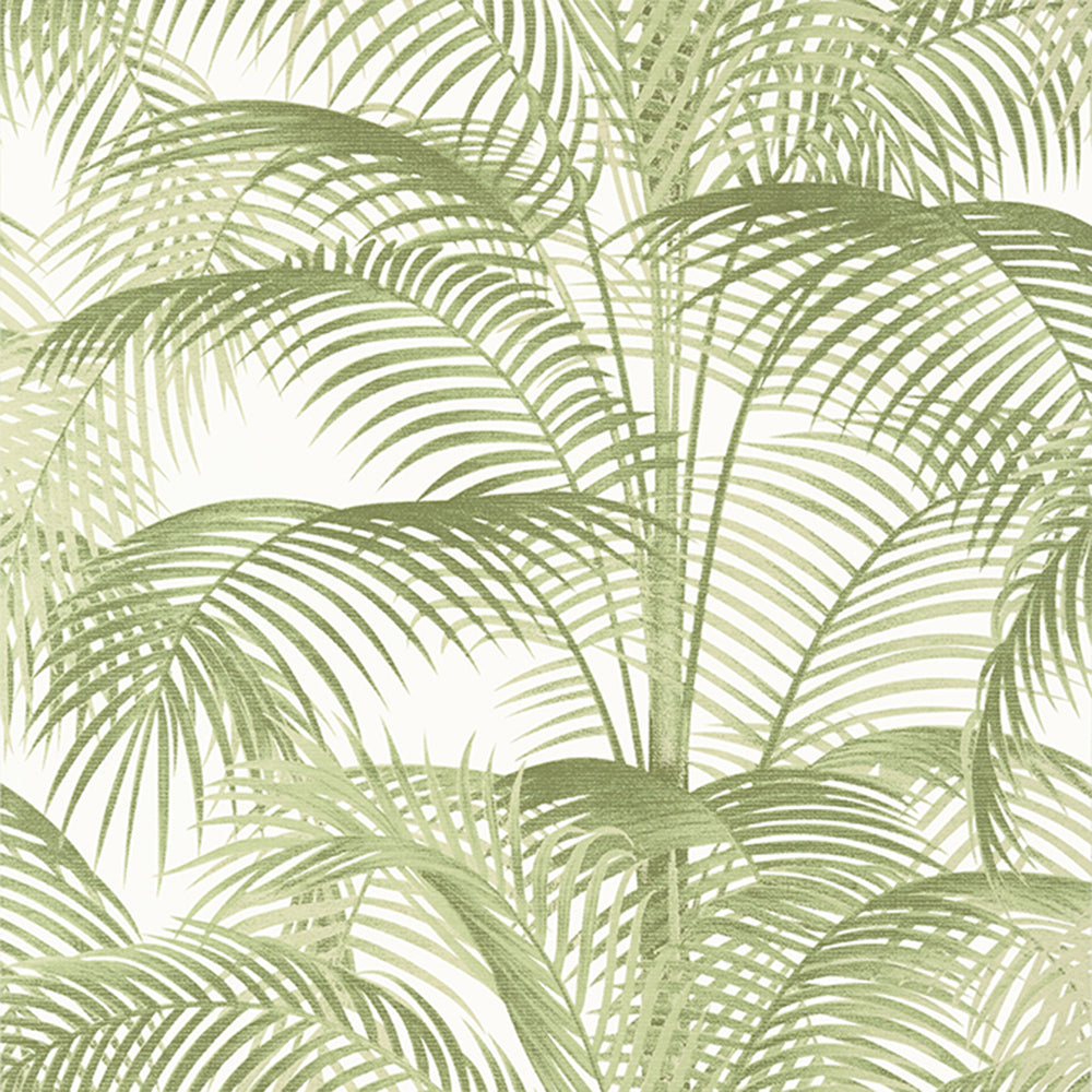 Delray - Palm Grove - Wallpaper