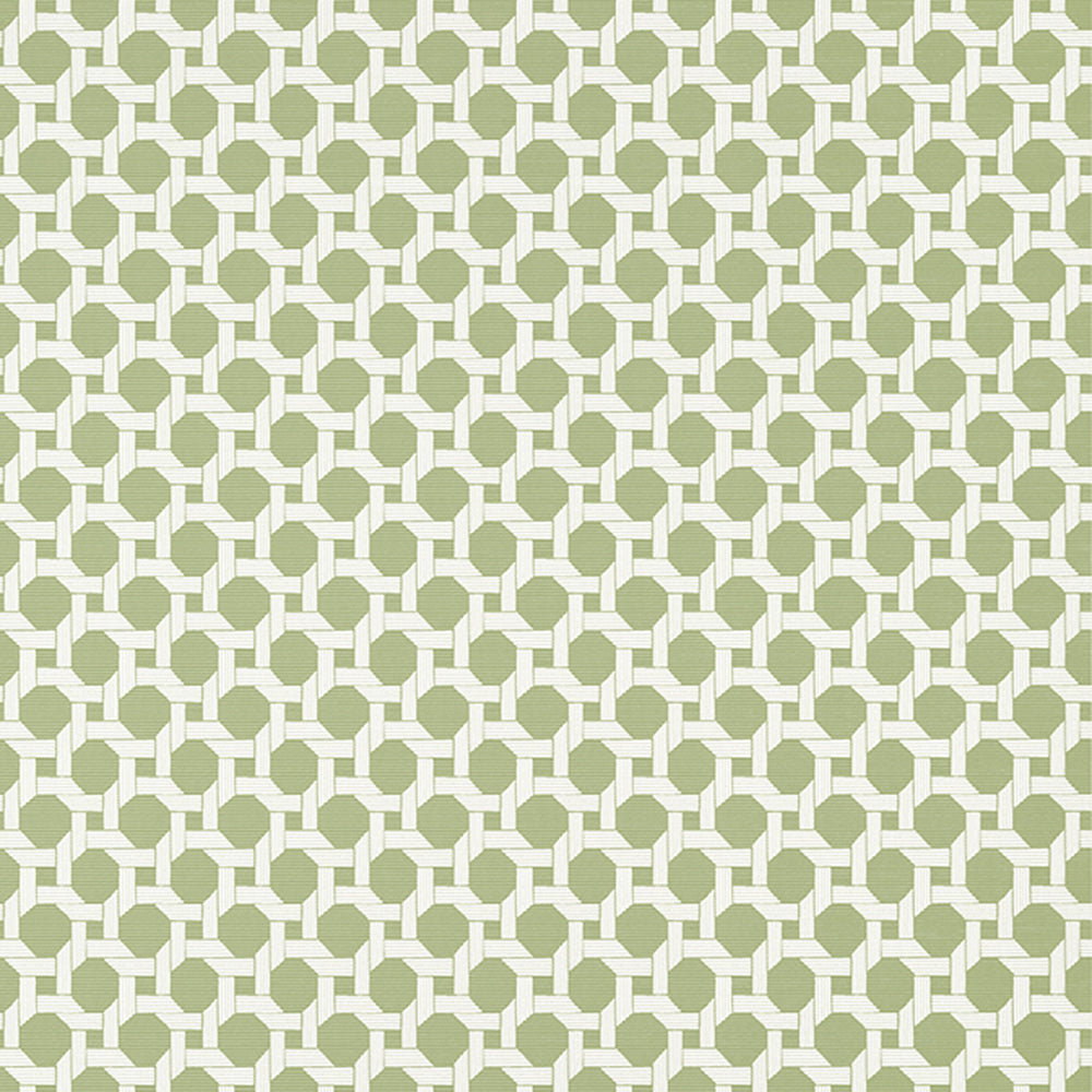 Charter Geometric - Palm Grove - Wallpaper