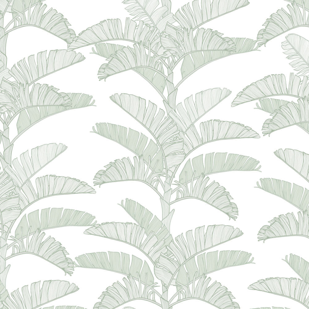 Tropical Plantation Wallpaper