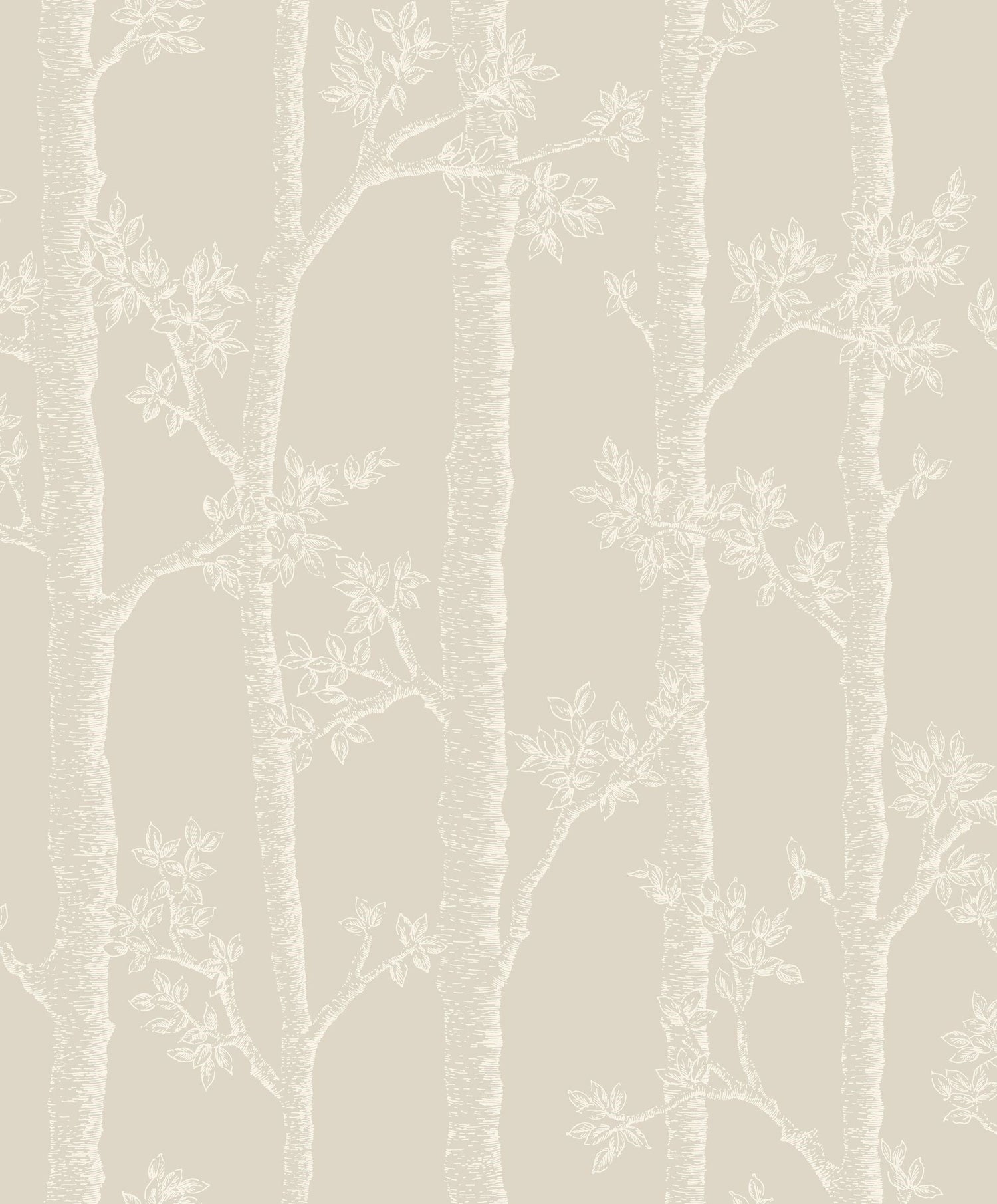 Autumn Trees Wallpaper
