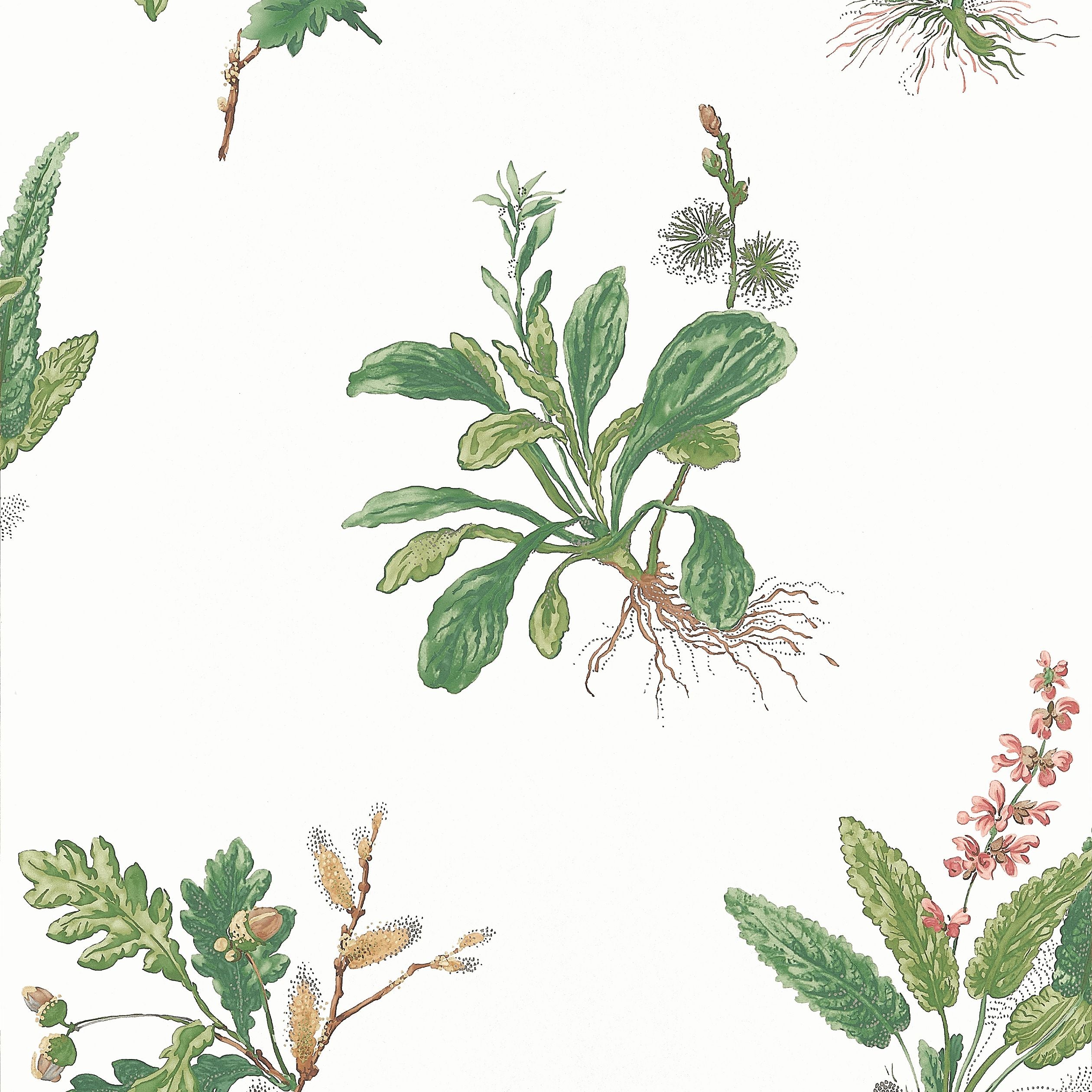 Woodland Greenery Wallpaper