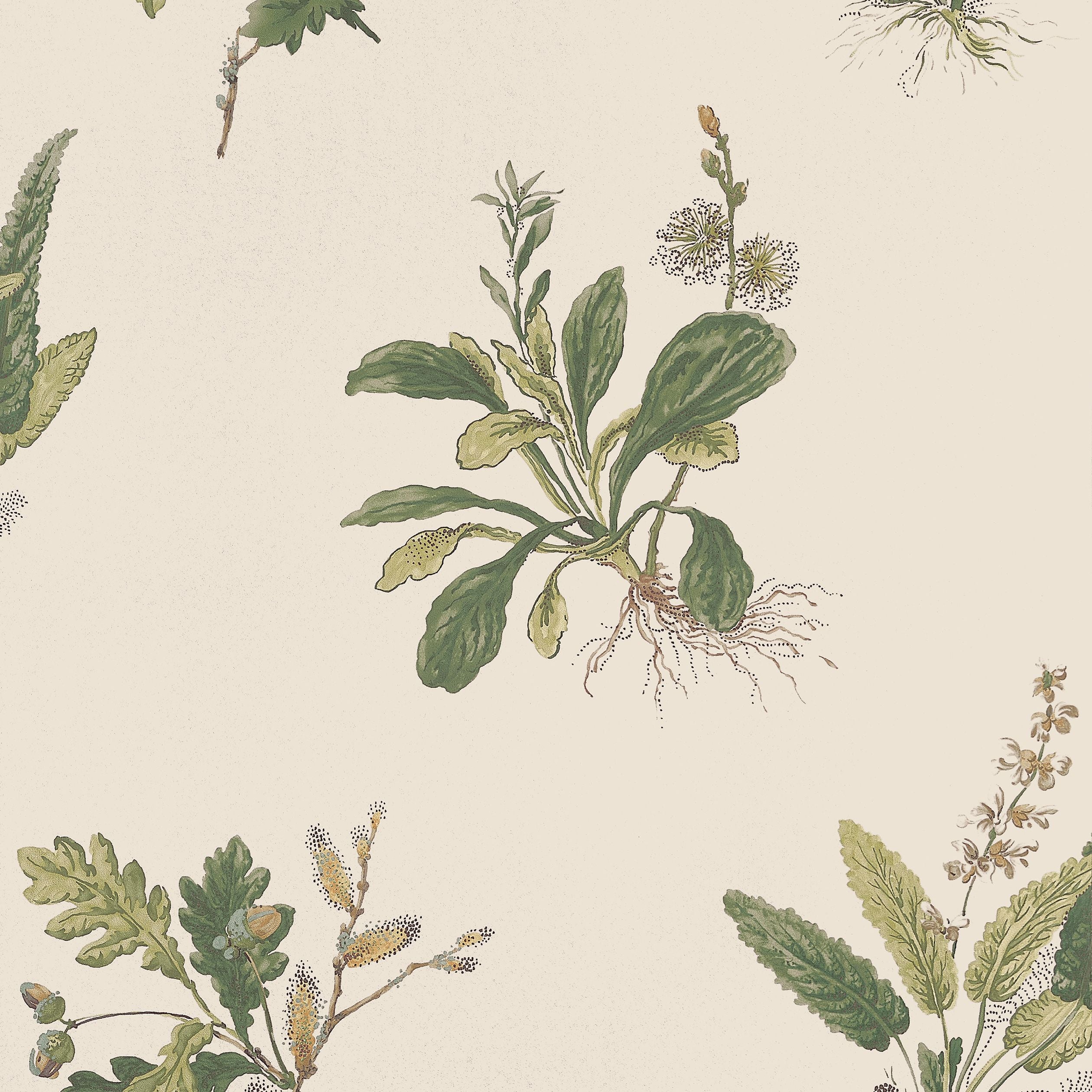 Woodland Greenery Wallpaper