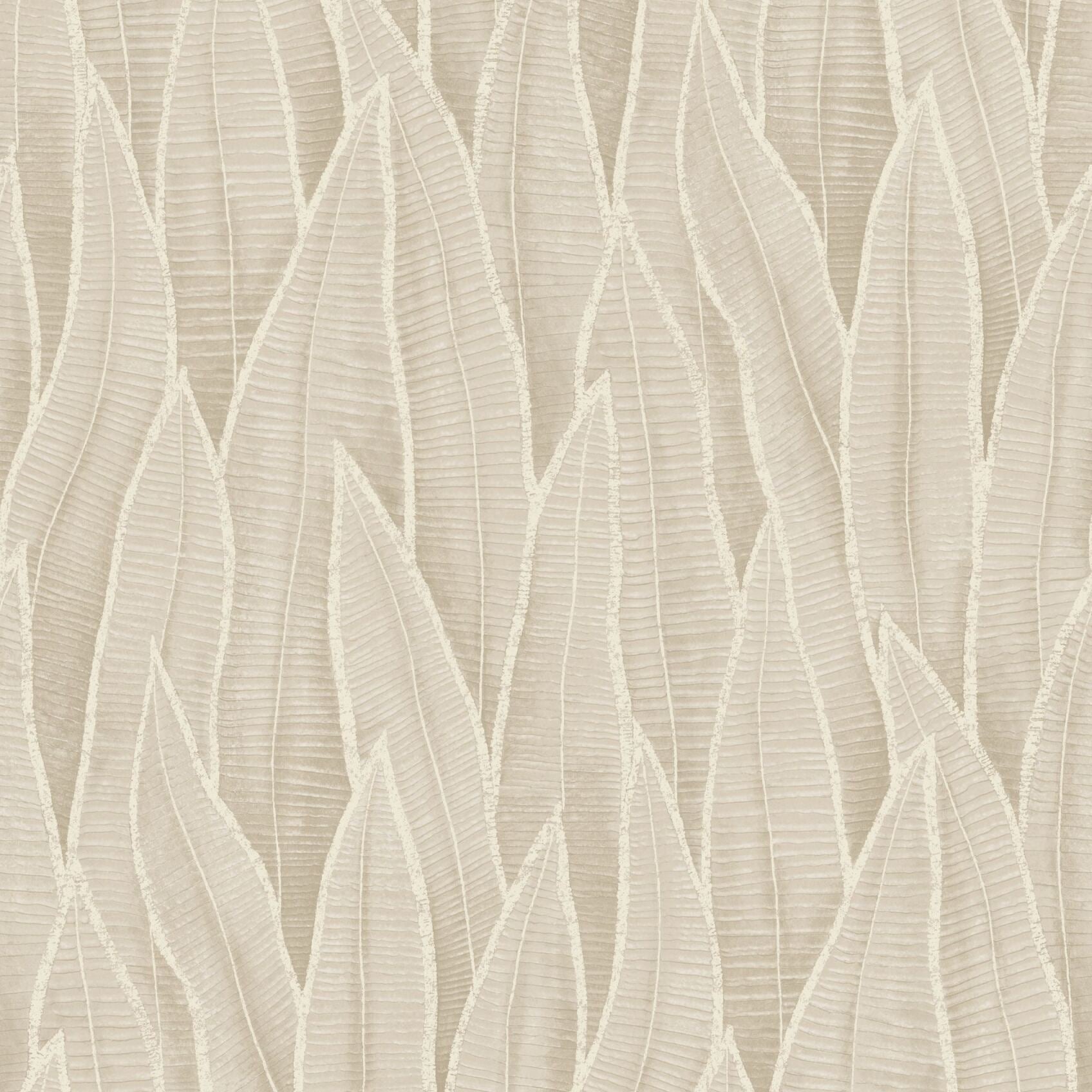 Succulent Leaves Wallpaper